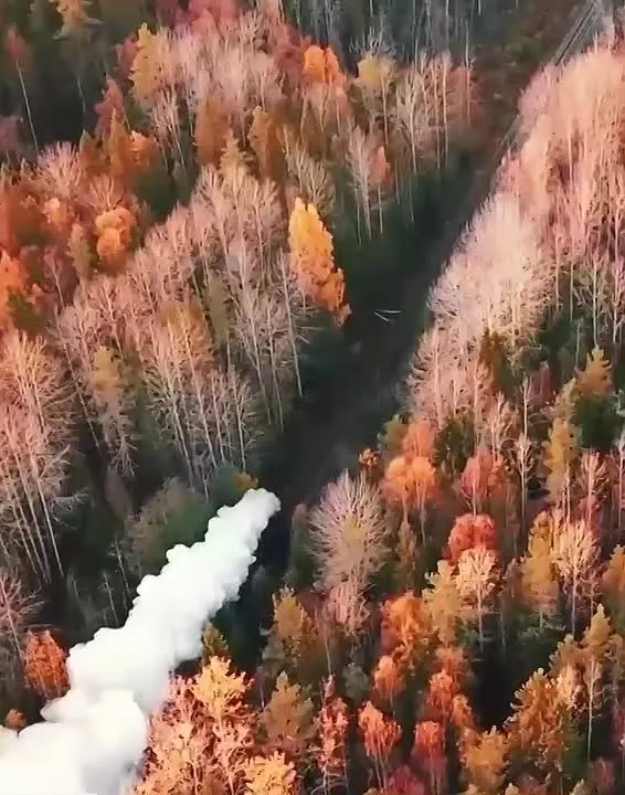 Обложка видео