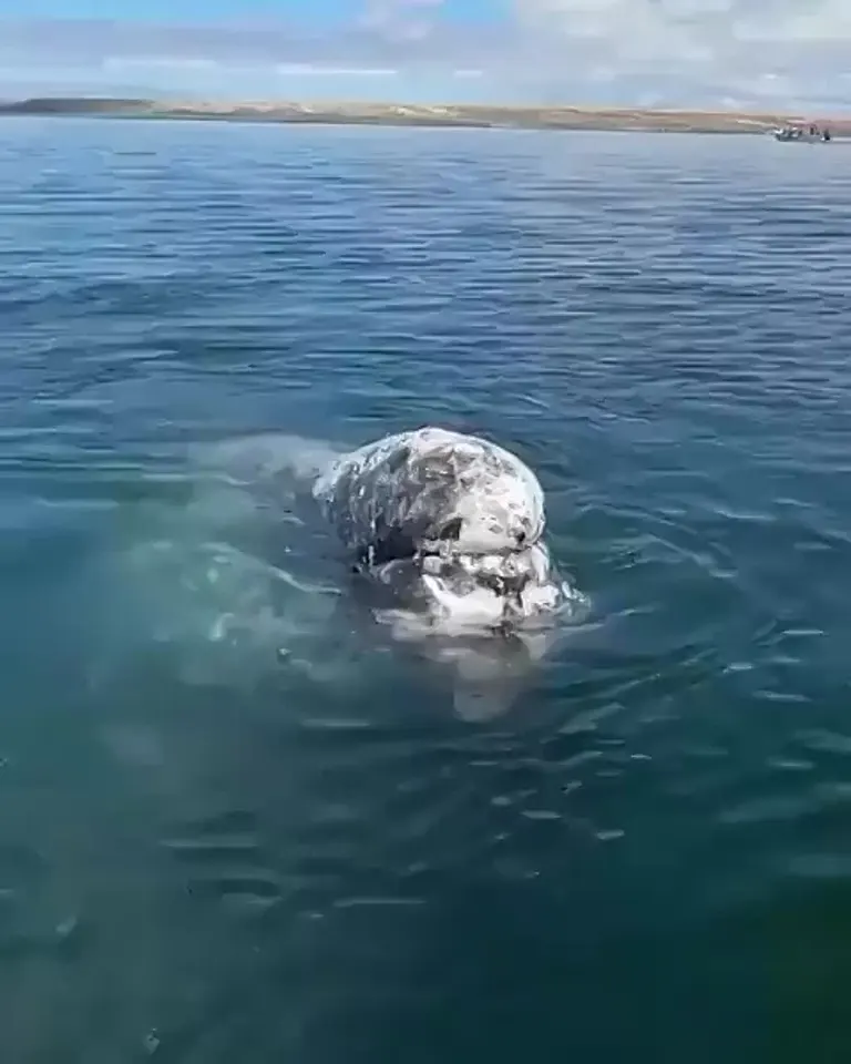 Обложка видео