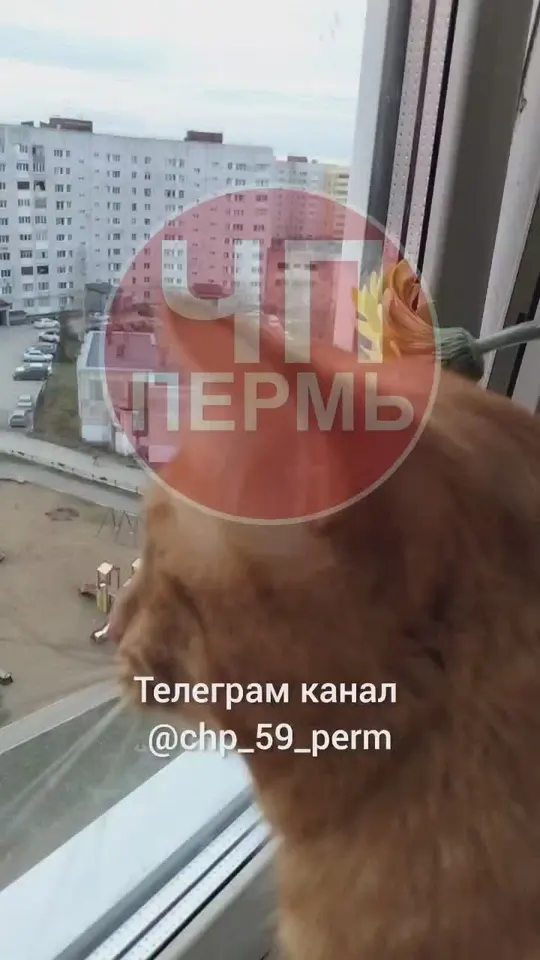 Обложка видео