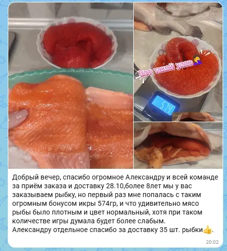 Фото из поста