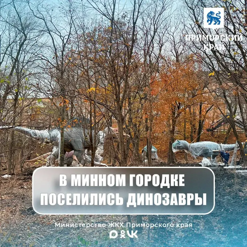 Фото из поста