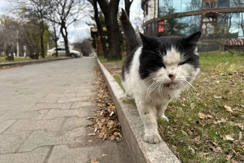 Фото из поста