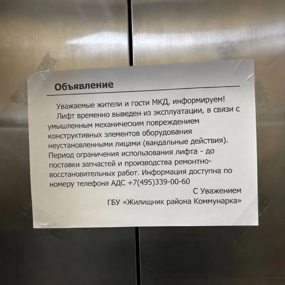 Фото из поста