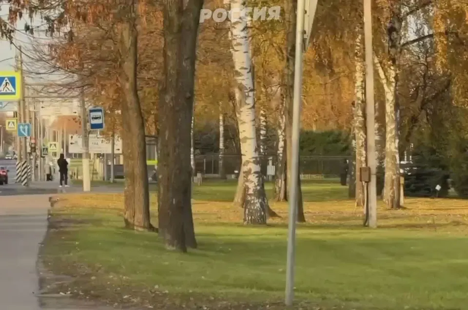 Обложка видео