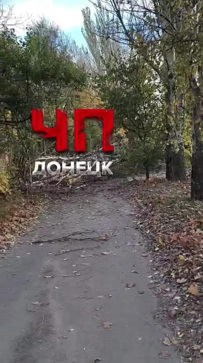 Обложка видео