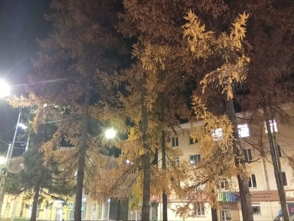 Фото из поста