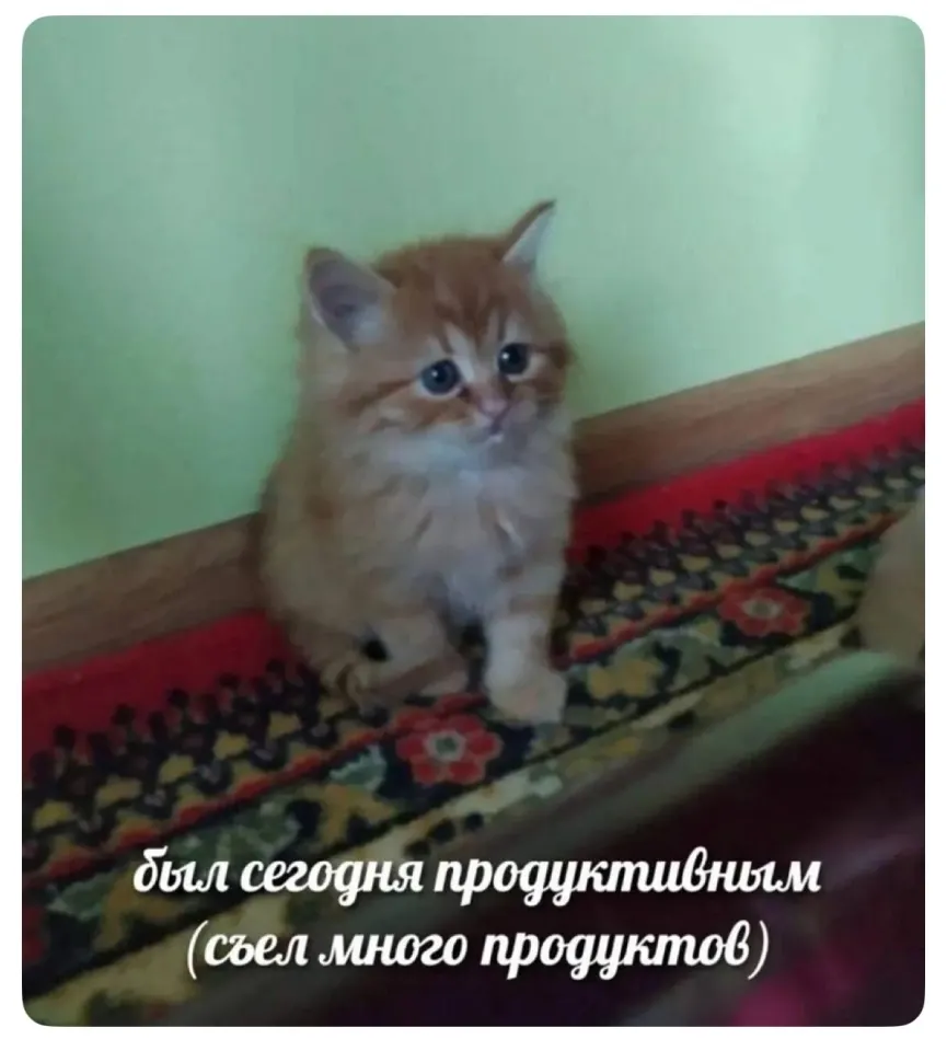 Фото из поста