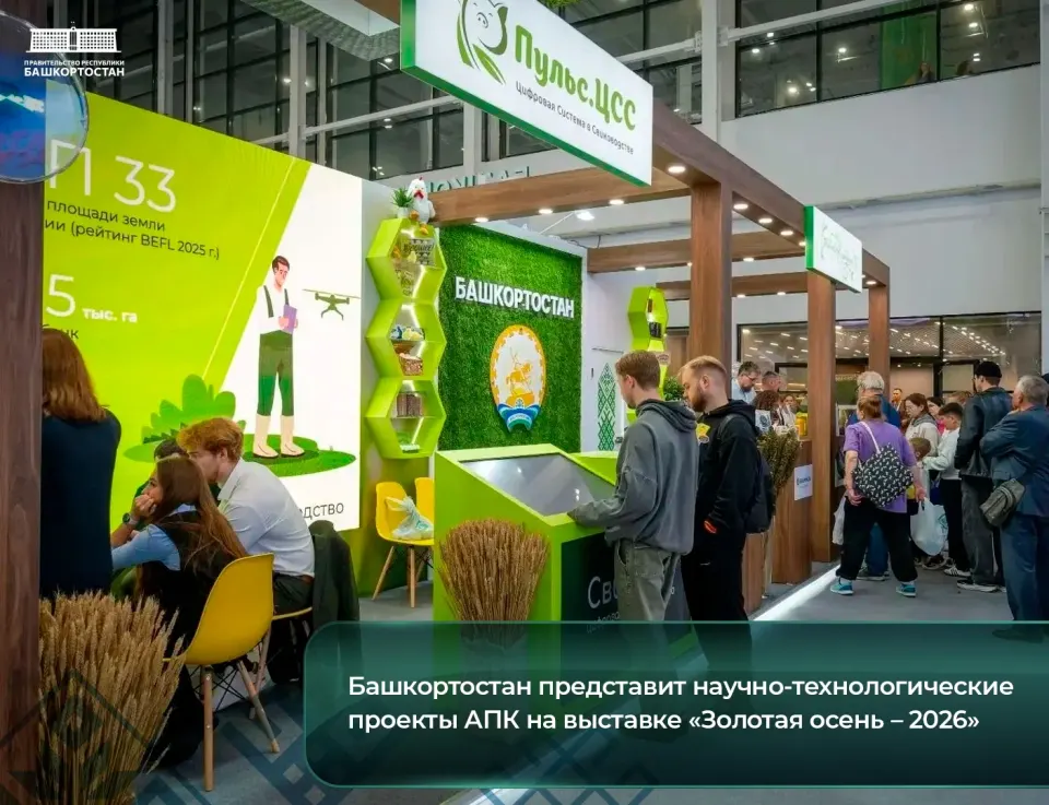 Фото из поста