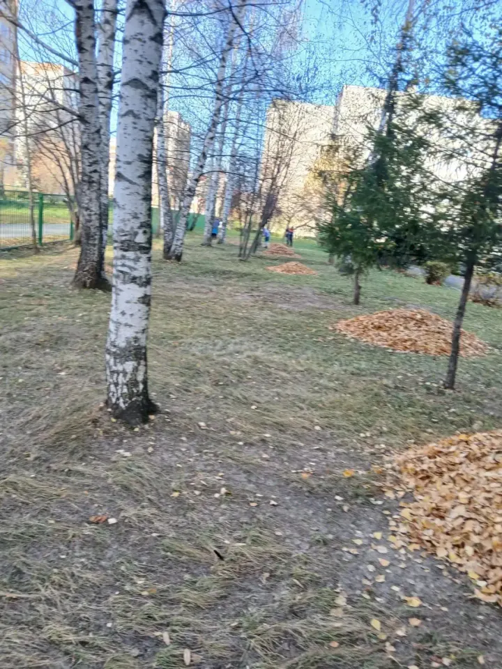 Фото из поста
