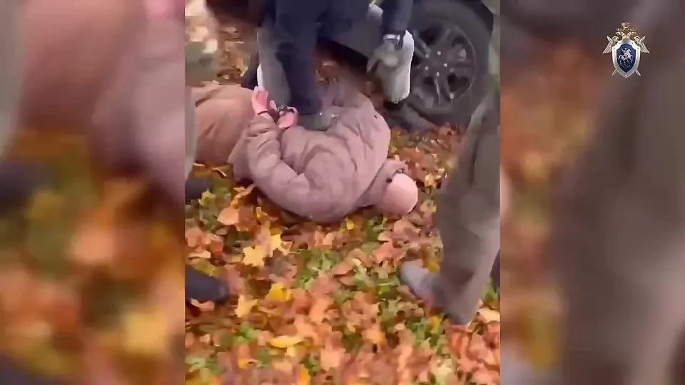 Обложка видео