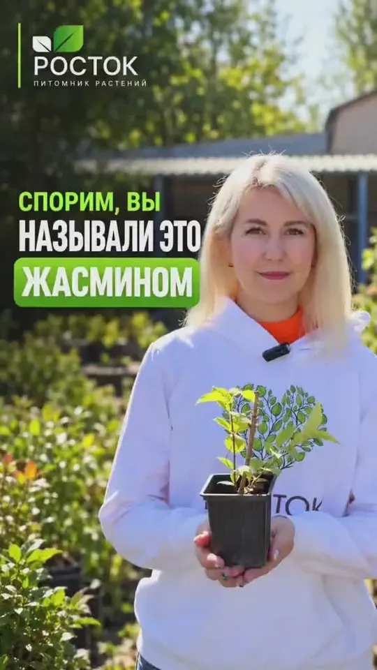 Обложка видео