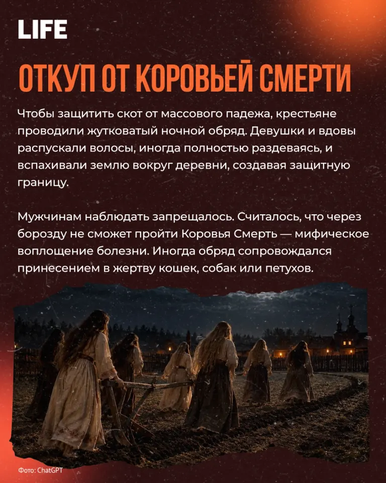 Фото из поста