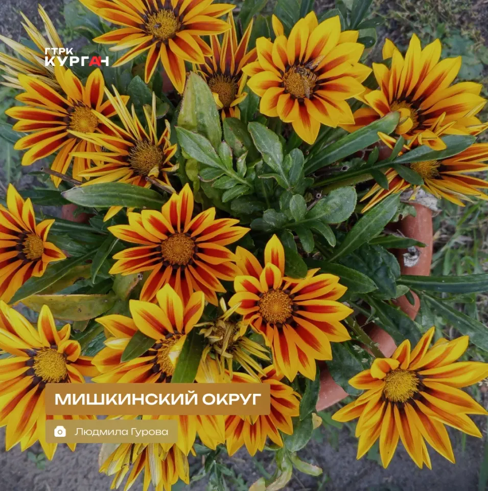 Фото из поста