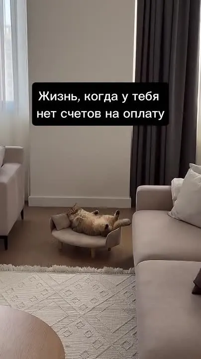 Обложка видео