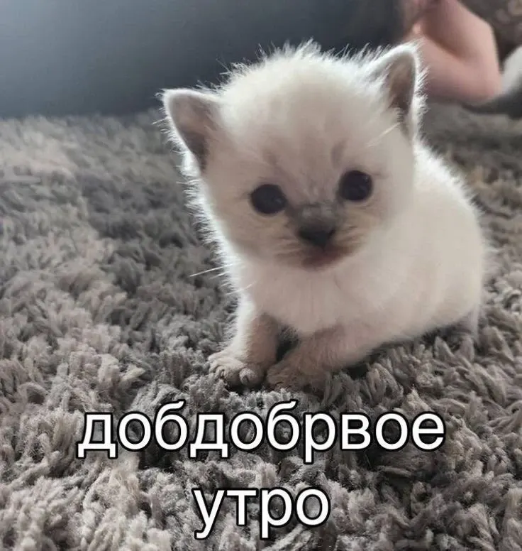 Фото из поста