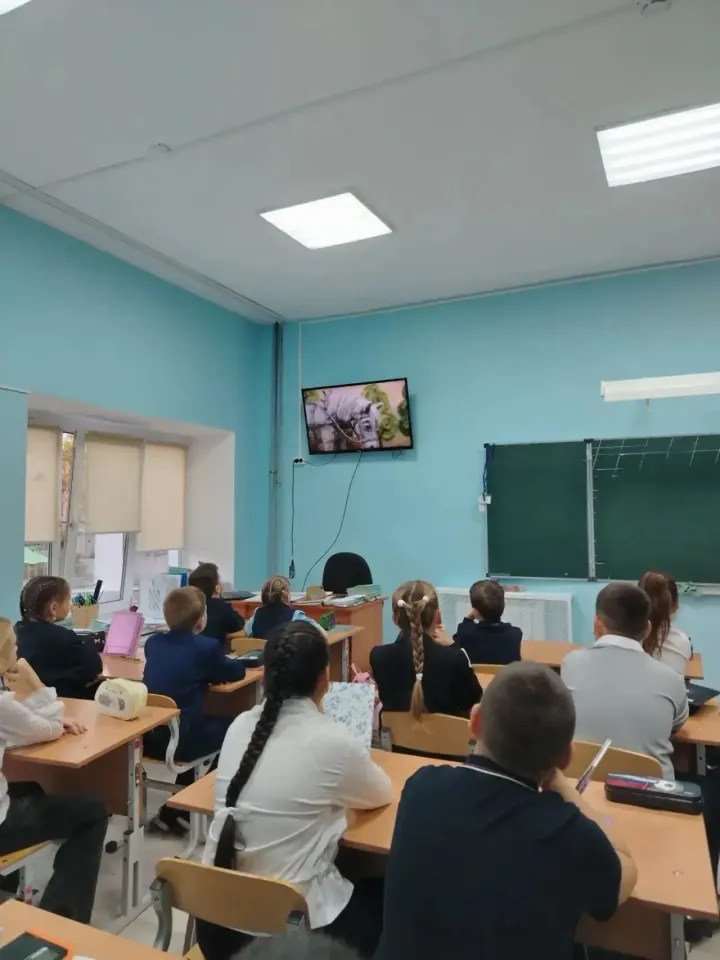 Фото из поста