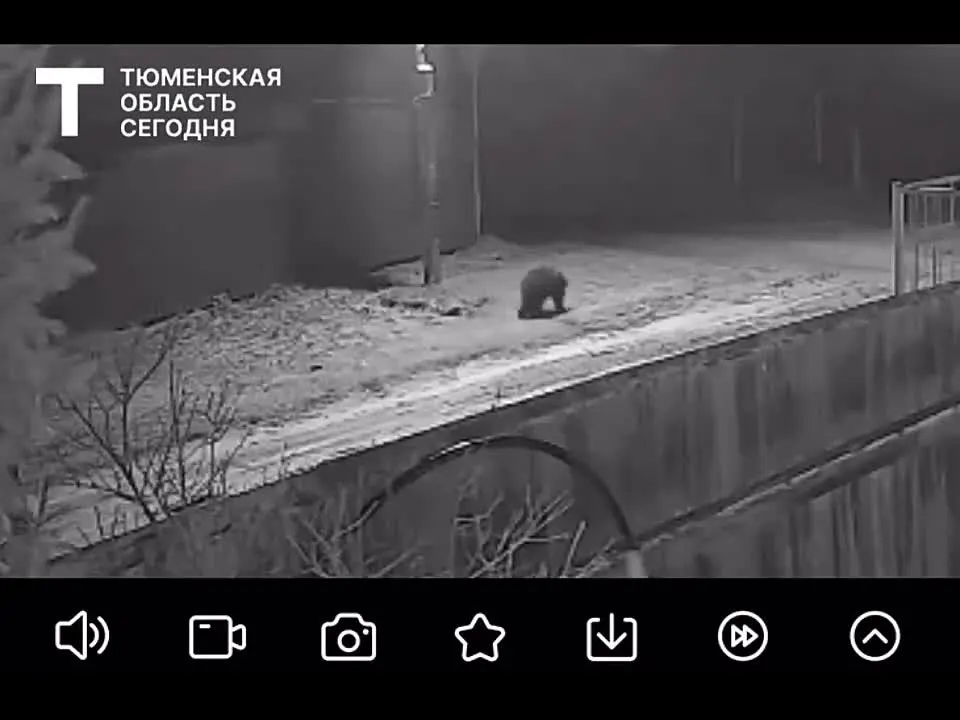 Обложка видео