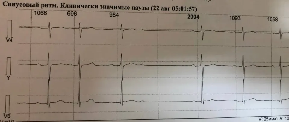 Фото из поста