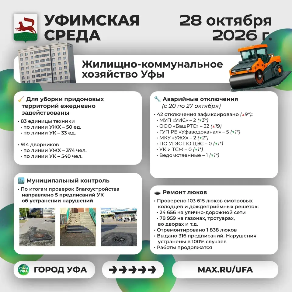 Фото из поста