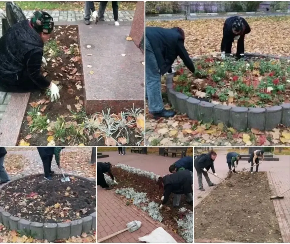 Фото из поста