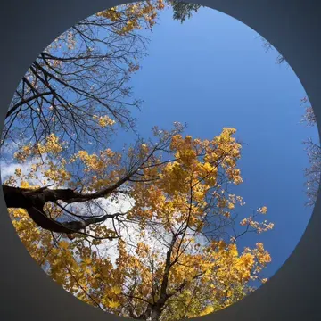 Обложка видео