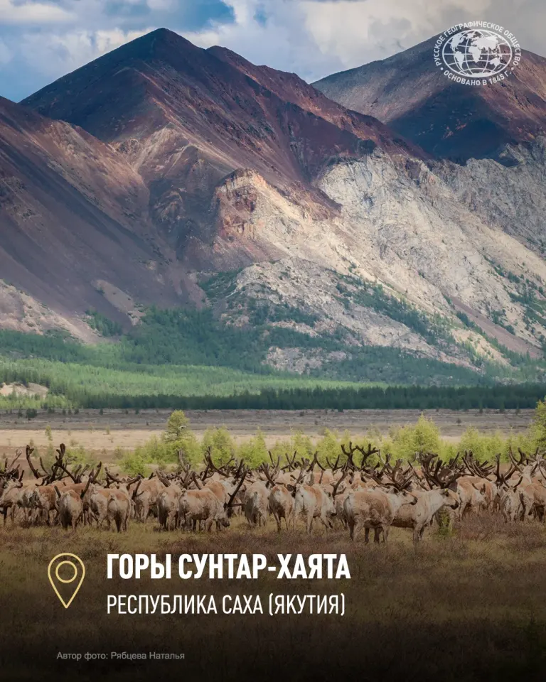 Фото из поста