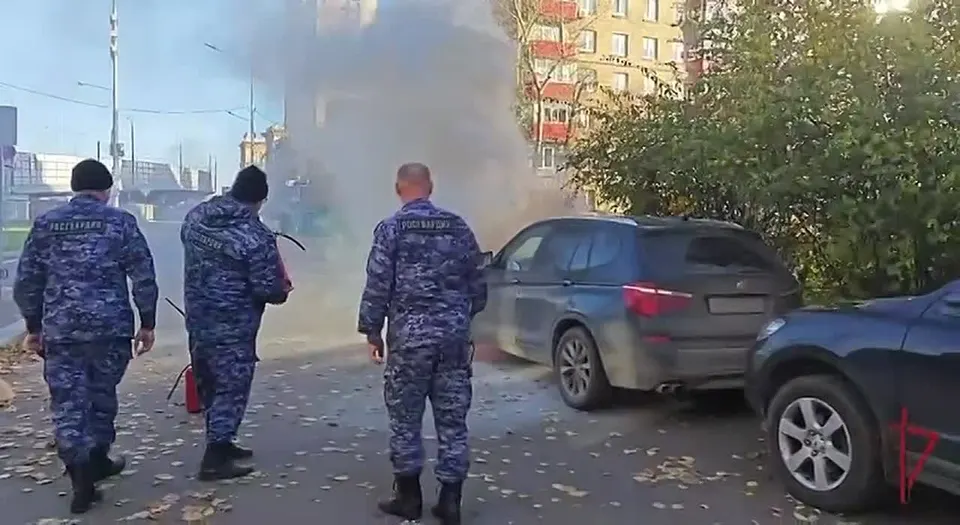 Обложка видео