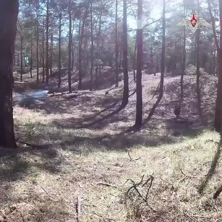 Обложка видео