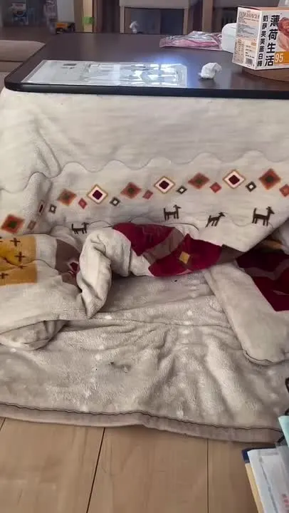 Обложка видео
