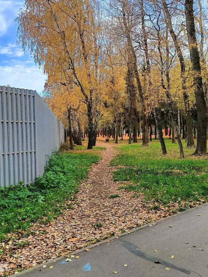 Фото из поста