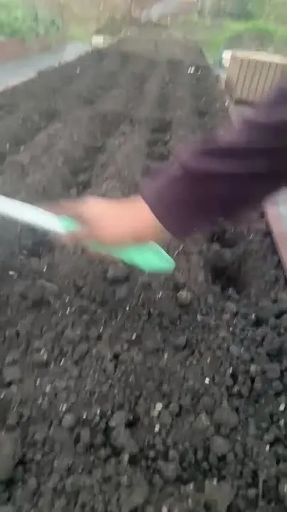 Обложка видео