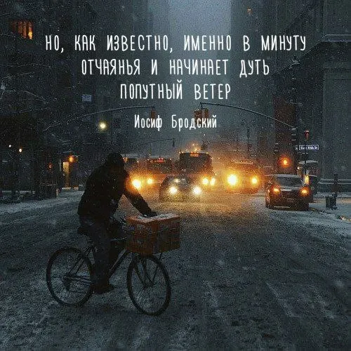 Фото из поста