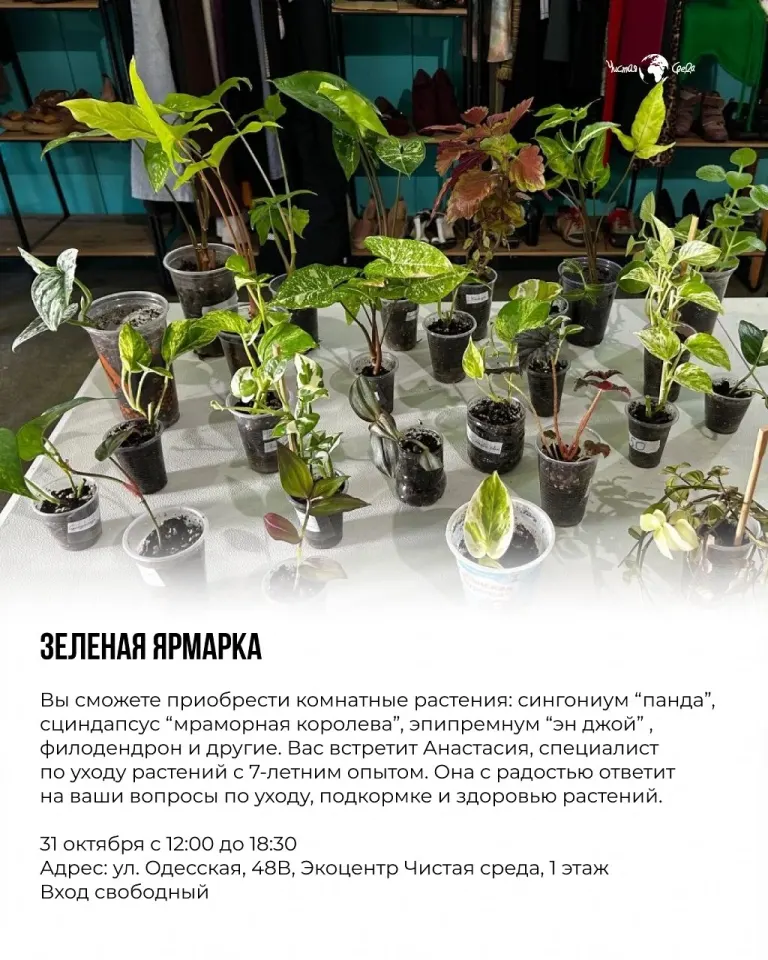 Фото из поста