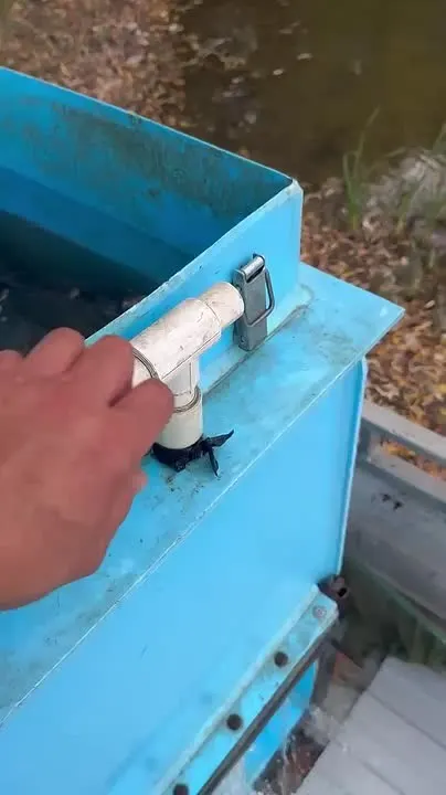 Обложка видео