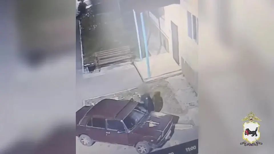 Обложка видео