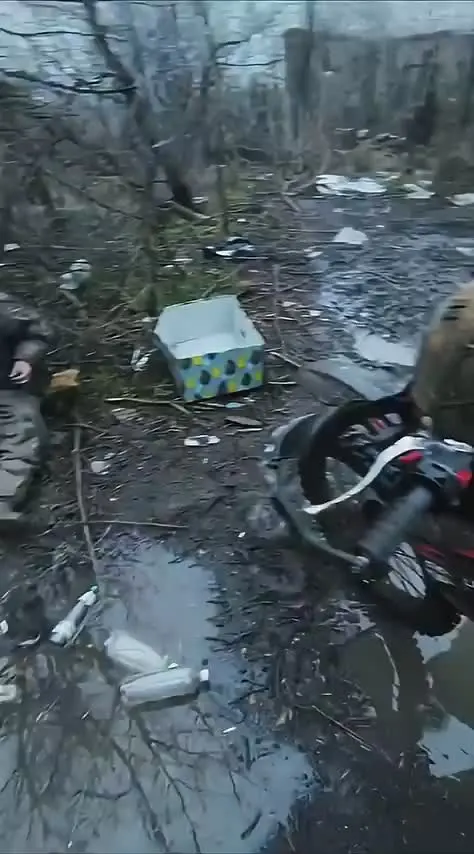 Обложка видео