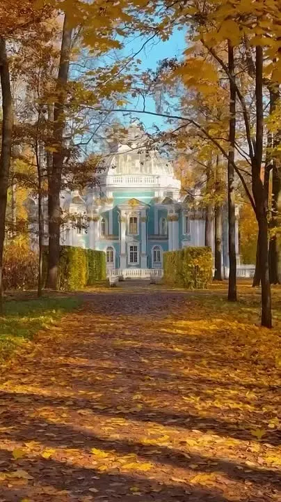 Обложка видео