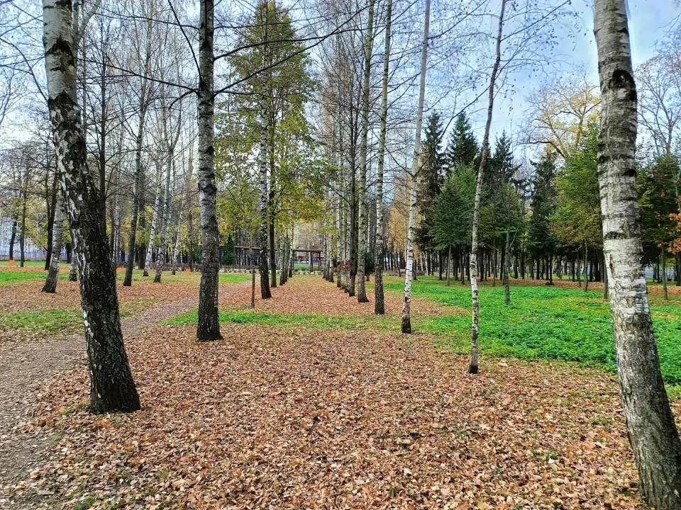 Фото из поста