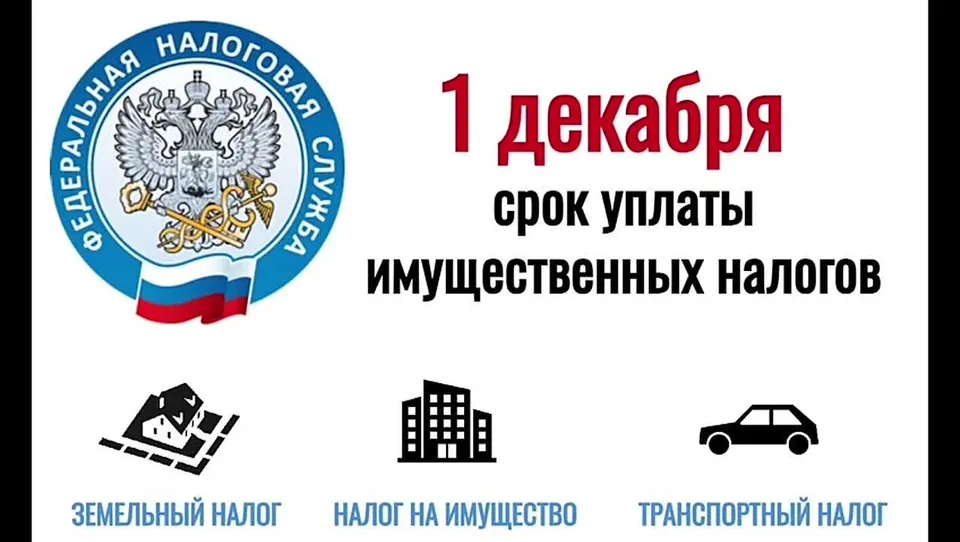 Обложка видео