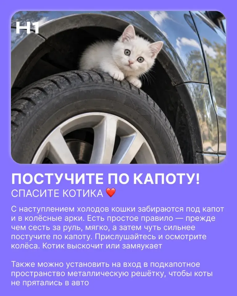 Фото из поста
