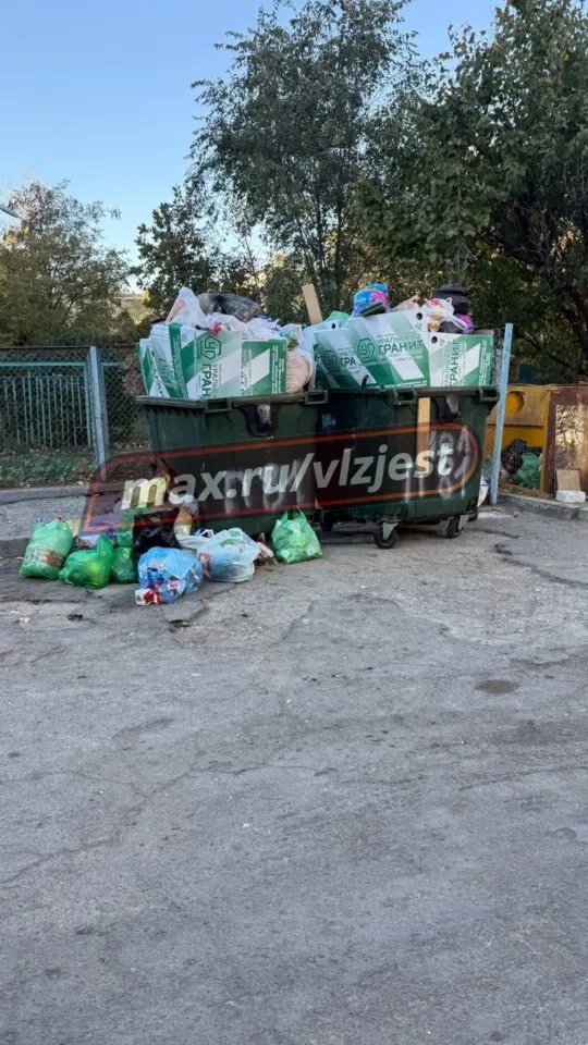 Фото из поста