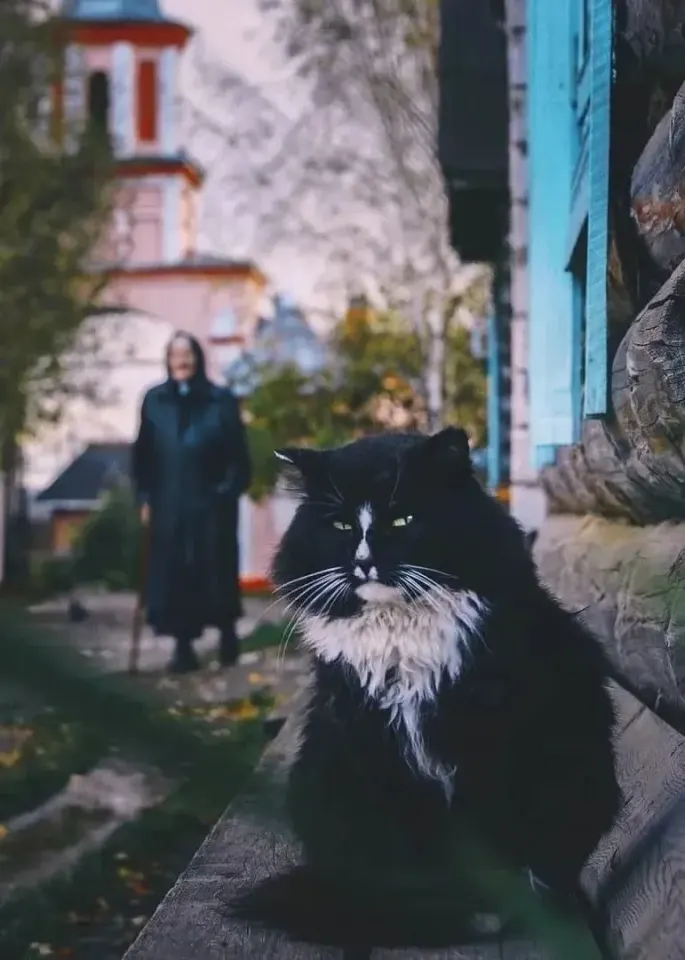 Фото из поста