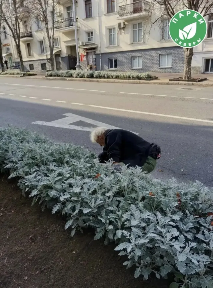 Фото из поста