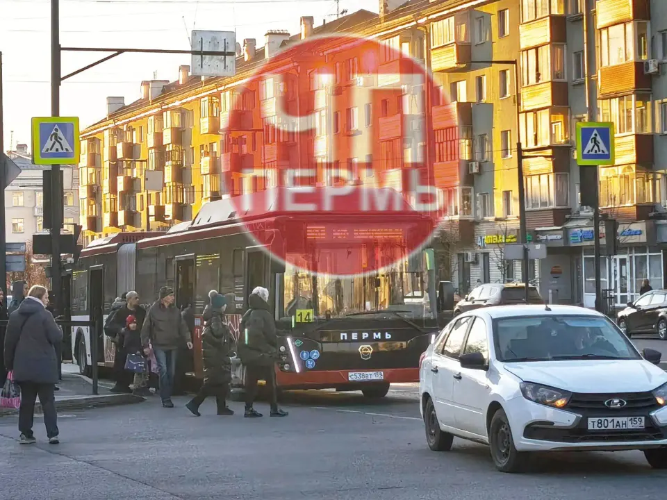 Фото из поста