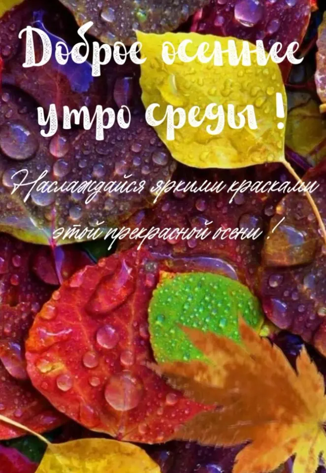 Фото из поста