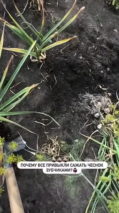 Обложка видео