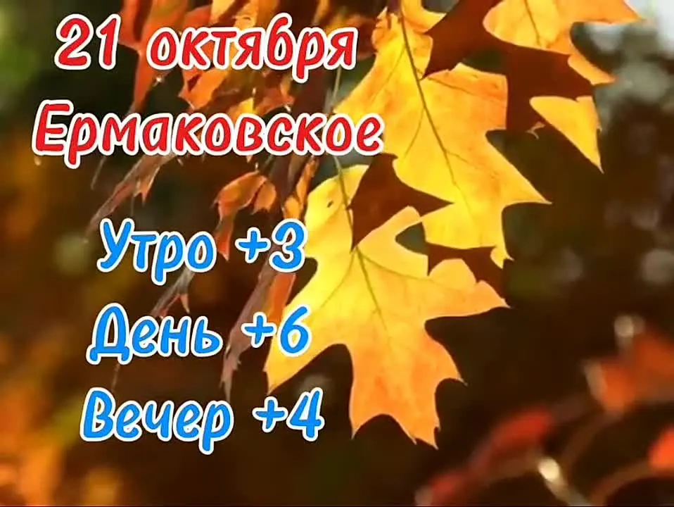 Обложка видео