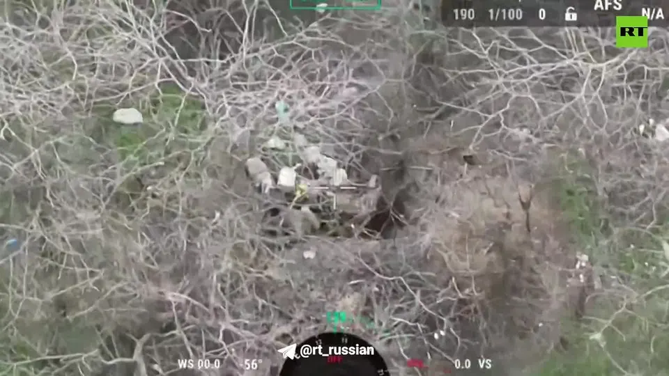 Обложка видео
