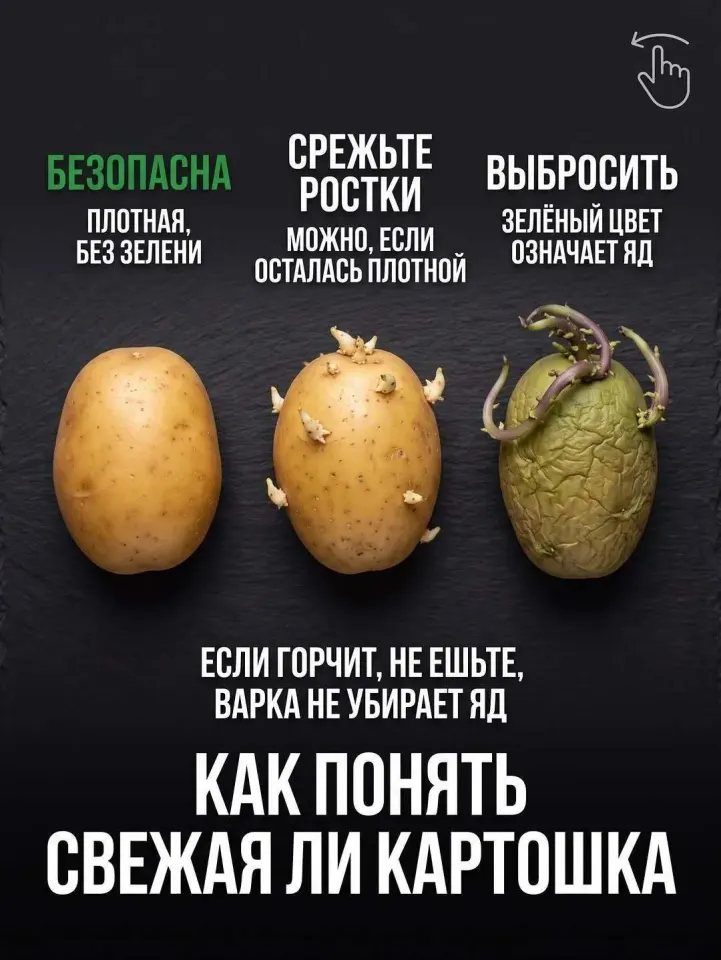Фото из поста