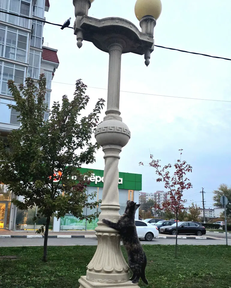 Фото из поста